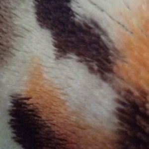 Meet your Posher, Juan